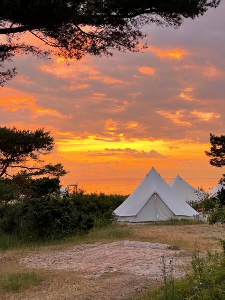 Surflogiet Gotland