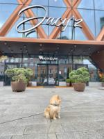 Huvudbild av Jacy’z Hotel & Resort