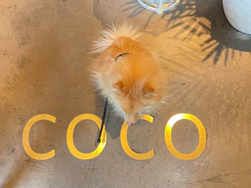Coco Orangerie